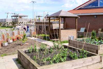 Vegetable patch